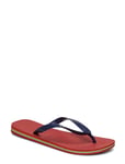 Havaianas Brazil Logo Shoes Summer Flip Flops Röd [Color: RED 1440 ][Sex: Men ][Sizes: 39/40,41/42 ]