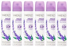 6 X Yardley ENGLISH LAVENDER Body Spray Fragrance 75ml