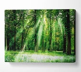 Sunbeams From Heaven Canvas Print Wall Art - Extra Large 32 x 48 Inches