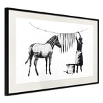 Plakat - Banksy: Washing Zebra - 30 x 20 cm - Sort ramme med passepartout