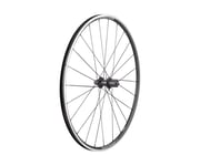 Bakhjul Bontrager Approved TLR/TK-32 28" Svart