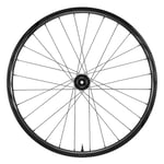 Giant Trx 2 Boost 29´´ Disc 6b Tubeless 2021 Mtb Framhjul