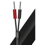Câble enceinte AUDIOQUEST Q2 Black cable monté 2x3M
