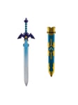 Disguise The Legend of Zelda Link's Sword
