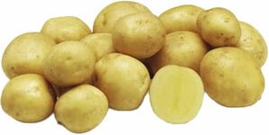 Sättpotatis LPM Jacky Höst 1kg - GUL, 1 KG