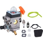 Kit de carburateur pour Stihl FS100R FS110 FS110R FR130T FS130 FS130R HL100 HL100K