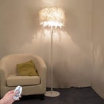 Floor Lamp, Sheer Shade Feather Floor Lamp, LED Floor Lamps with Remote Control Modern Simple Wedding Room Bedroom Living Room Feather Standard Lamp, White