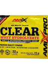 Amix - Clear Whey Hydrolizate, Blue raspberry - 22 g