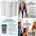 PH001 3-Pack Alkaline Water Filter Cartridges White-3 Filters (Most Popular)