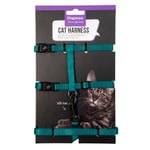 Dogman kattsele med koppel (cat harness Findus) turkos
