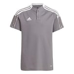 Real Club Celta de Vigo | Official Leisure Polo Shirt | for Kids | 2021-22 Season | Unisex | 7-8 Years | Grey