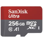 SanDisk - SDSQUAR-256G-GN6MA - Carte Mémoire MicroSDHC Ultra 256GB avec Vitesse