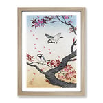 Two Great Tits On Blossom Tree By Ohara Koson Asian Japanese Framed Wall Art Print, Ready to Hang Picture for Living Room Bedroom Home Office Décor, Oak A4 (34 x 25 cm)