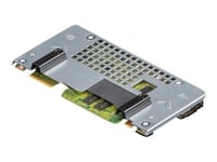 Dell Perc H755 - Kundsats - Kontrollerkort (Raid) - Sata 6Gb/S / Sas 12Gb/S - Raid 0, 1, 5, 6, 10, 50, 60 - Pcie 4.0