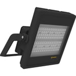 Ledvance Floodlight Hög Mast 39600lm 300W/730 sym 110x30° IP66