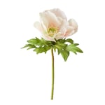 Mr Plant - Anemon 43 cm rosa