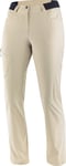 Salomon Women's Wayfarer Pant Rainy Day, 38/Regular