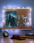 Harry Potter LED Lysslynge med Tryllestav 2 meter