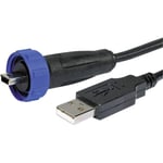 Bulgin - Cordon adaptateur 3m usb a mâle / Mini-USB b mâle IP68 eska PX0441/3M00