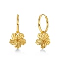 Edblad Jasmine Hoops Guld