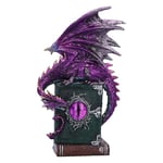 Nemesis Now Figurine de Dragon sur des Livres Hantés - 24 cm, Résine, Violet Scintillant - Ornement et Article Cadeau à Collectionner
