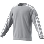 adidas Disney Men's Sq21 Top Sweatshirt, Tmlggr, XS UK