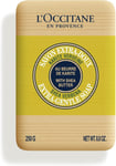 L'OCCITANE Shea Verbena Extra-Gentle Soap, 250 g |Enriched 250 g (Pack of 1) 