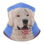 Kaswtrb Happy White Labrador Retriever Portrait Of A Dog Face Nose And Field Cover Washable Dust