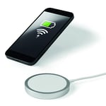 Intempo EE6546SILSTKEU7 Magnetic Wireless Phone Charger, Compatible with iPhone 12 and 13 Models, Magnet Design, 15 W Output, USB Type-C Connector, 1.2 Metre Charging Cable, Black