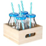 Retro Style Glass Bottles Set of 4 With Metal Screw Lid And Plastic Straw