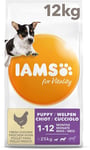 Iams For Vitality Small/medium Breed Puppy Dry Dog Food With Fresh Chicken, 12