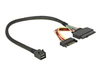Delock - Intern Sas-Kabel - Sff-8643 (Hane) Till Sata-Ström, U.2 (Sff-8639) - 30 Cm - Svart