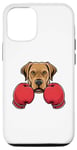 Coque pour iPhone 15 Chien labrador amusant kickboxing ou boxe
