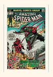 Pyramid International Spider-Man (Green Goblin) -Mounted Print Memorabilia 30 x 40cm, Paper, Multicoloured, 30 x 40 x 1.3 cm