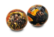 Draktränaren - Plastboll 23 cm