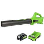 Greenworks Axial Leaf Blower 24V Cordless Gen II Battery Powered 143km/h Air Speed, 531m³/h Air Volume,Electronic Speed Control, with 4Ah Battery and Charger
