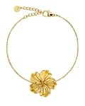 Edblad Jasmine Armband Guld