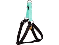 Dingo Fred Energy Storlek 50 Bredd 1,6 Cm Mint (94631)