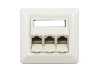 Stöd För Keystone-Modul För Infällda Uttag För 3Xtp-Modul Ren Vit Synergy 21