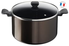 Tefal Easy Cook & Clean B5546902 Non-Stick Cooking Pot with Lid Suitable for All Heat Sources Except Induction