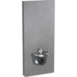 Geberit Monolith Plus cistern för vägghängd toalett, 114 cm, skifferoptik
