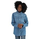 Levi's Kids Barstow Western Shirt Boys, Turquoise 14 Years