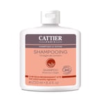Shampoing Cheveux Regraissant Vite Cattier - Le Shampoing De 250ml