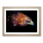 Eagle Bird Modern CB Framed Wall Art Print, Ready to Hang Picture for Living Room Bedroom Home Office Décor, Oak A2 (64 x 46 cm)