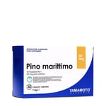 Yamamoto Nutrition - Pino Marittimo Pycnogenol®
