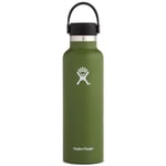 Hydro Flask 21 oz Standard Mouth - Gourde isotherme 621 mL Olive 21 oz (621 ml)
