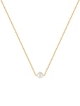 Pearl Necklace Accessories Jewellery Necklaces Dainty Necklaces Gold SOPHIE By SOPHIE