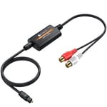Neoteck 192KHZ DAC Converter SPDIF to Digital RCA Optical Cable Audio Amplifier