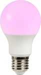 Smart E27 A60 Colour 2200-6500 Kelvin 806 Lumen Light Bulb in Opal White 6 Pack