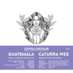 Coffea Circulor - Caturra WEX - Guatemala - Washed - Ljusrostade hela kaffebönor - 1000g